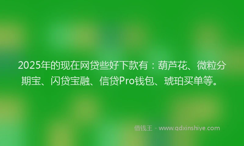 2025年的现在网贷些好下款有：葫芦花、微粒分期宝、闪贷宝融、信贷Pro钱包、琥珀买单等。