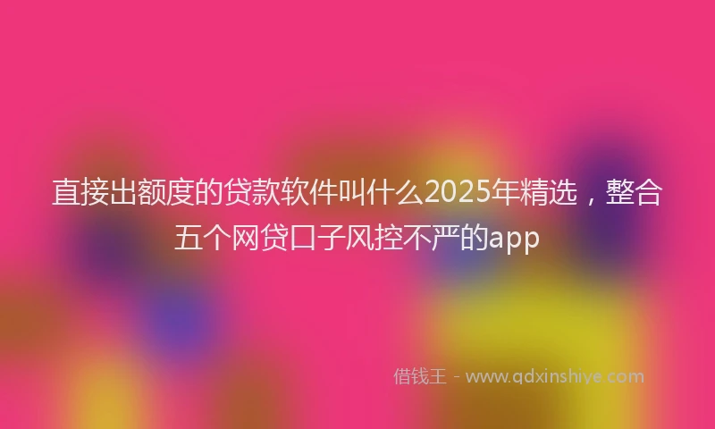 直接出额度的贷款软件叫什么2025年精选，整合五个网贷口子风控不严的app