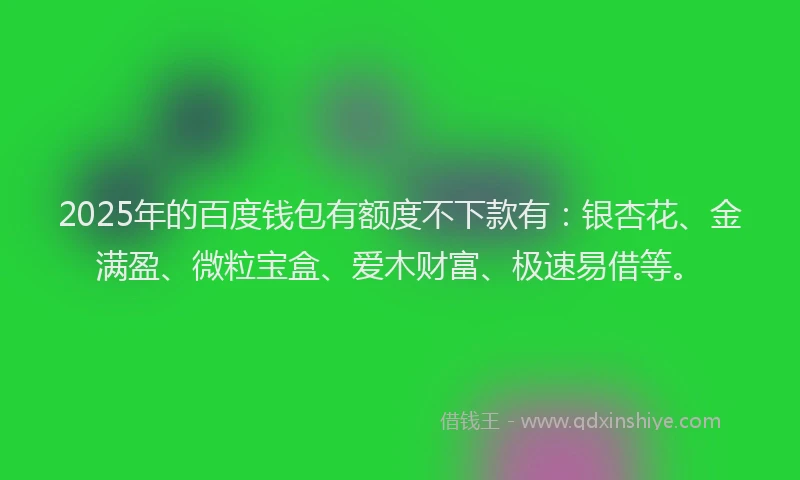 2025年的百度钱包有额度不下款有：银杏花、金满盈、微粒宝盒、爱木财富、极速易借等。