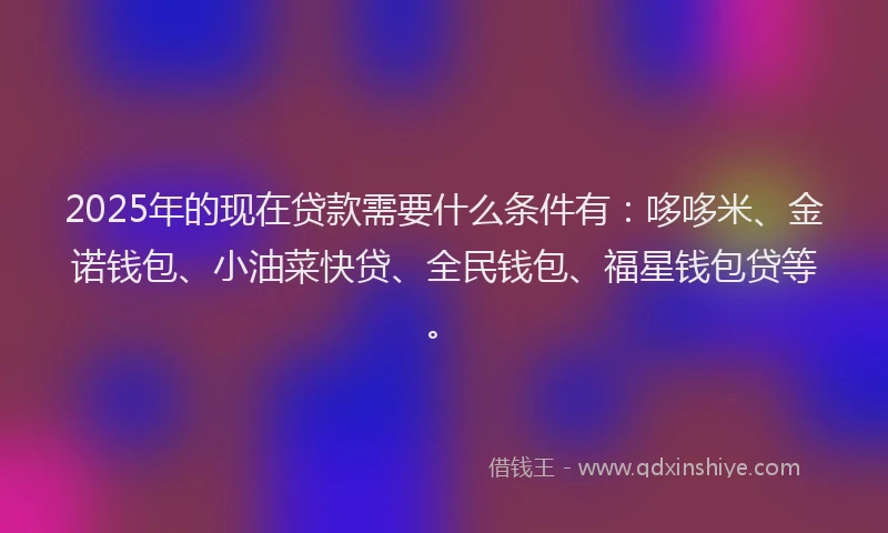 2025年的现在贷款需要什么条件有：哆哆米、金诺钱包、小油菜快贷、全民钱包、福星钱包贷等。