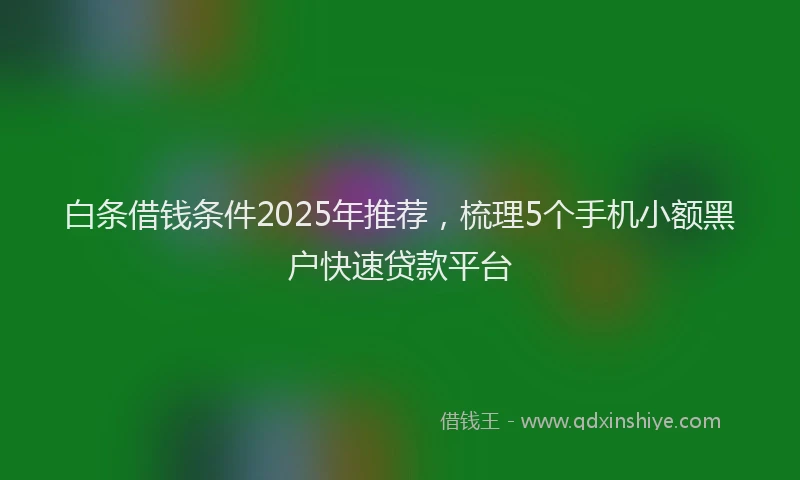 白条借钱条件2025年推荐，梳理5个手机小额黑户快速贷款平台