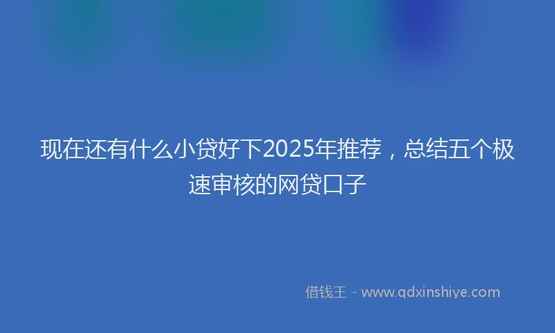 现在还有什么小贷好下2025年推荐，总结五个极速审核的网贷口子