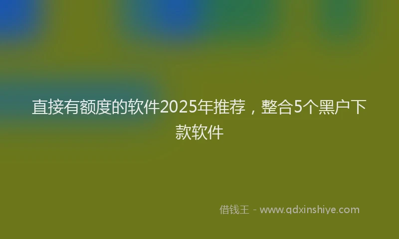 直接有额度的软件2025年推荐，整合5个黑户下款软件