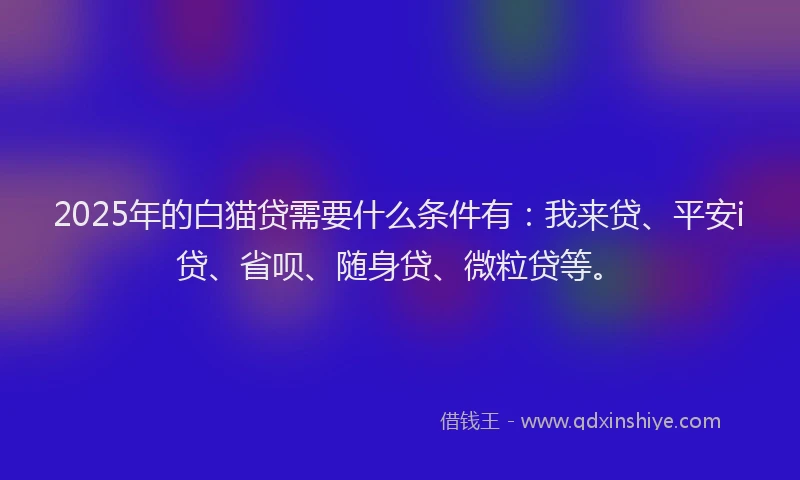 2025年的白猫贷需要什么条件有：我来贷、平安i贷、省呗、随身贷、微粒贷等。