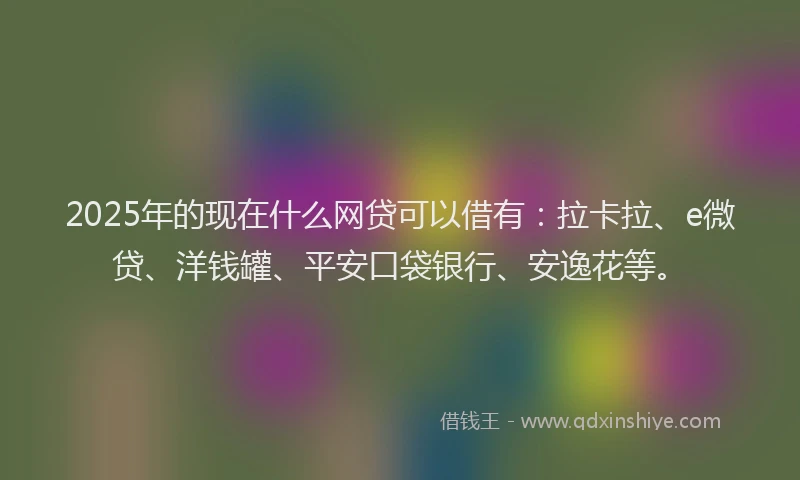 2025年的现在什么网贷可以借有：拉卡拉、e微贷、洋钱罐、平安口袋银行、安逸花等。