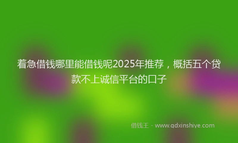 着急借钱哪里能借钱呢2025年推荐，概括五个贷款不上诚信平台的口子