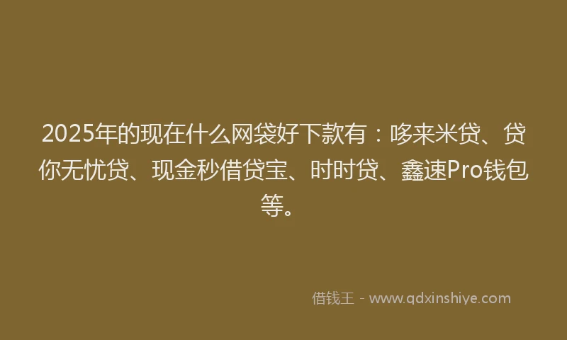 2025年的现在什么网袋好下款有：哆来米贷、贷你无忧贷、现金秒借贷宝、时时贷、鑫速Pro钱包等。