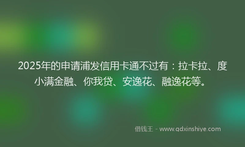 2025年的申请浦发信用卡通不过有：拉卡拉、度小满金融、你我贷、安逸花、融逸花等。