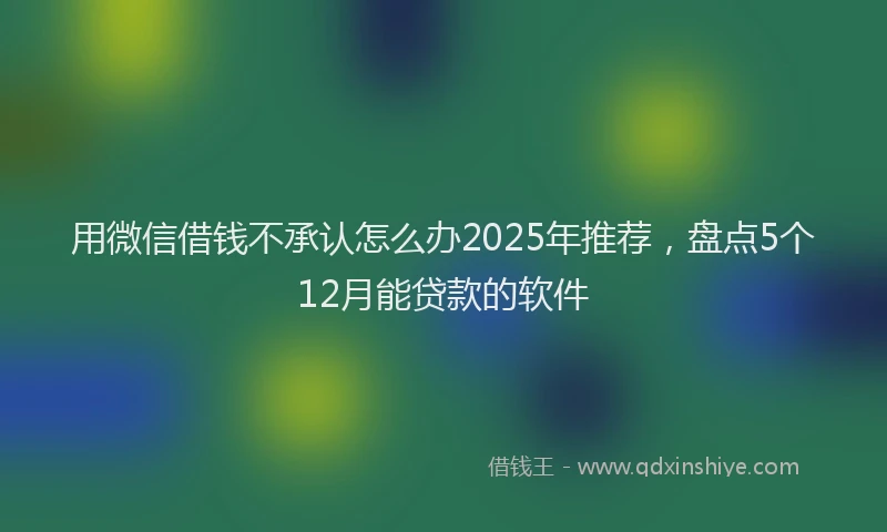 用微信借钱不承认怎么办2025年推荐，盘点5个12月能贷款的软件