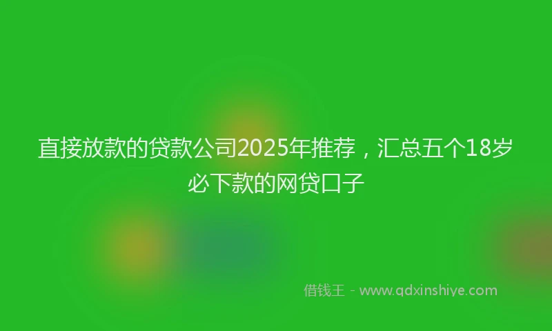 直接放款的贷款公司2025年推荐，汇总五个18岁必下款的网贷口子
