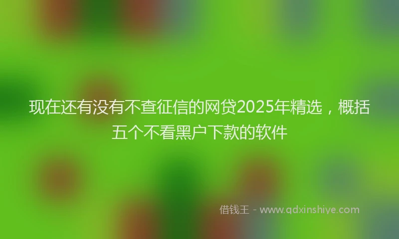 现在还有没有不查征信的网贷2025年精选，概括五个不看黑户下款的软件
