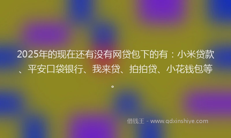2025年的现在还有没有网贷包下的有：小米贷款、平安口袋银行、我来贷、拍拍贷、小花钱包等。