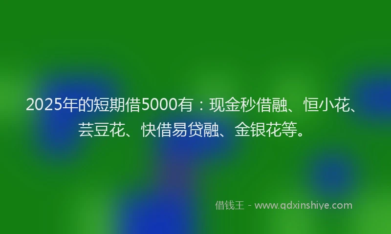 2025年的短期借5000有：现金秒借融、恒小花、芸豆花、快借易贷融、金银花等。