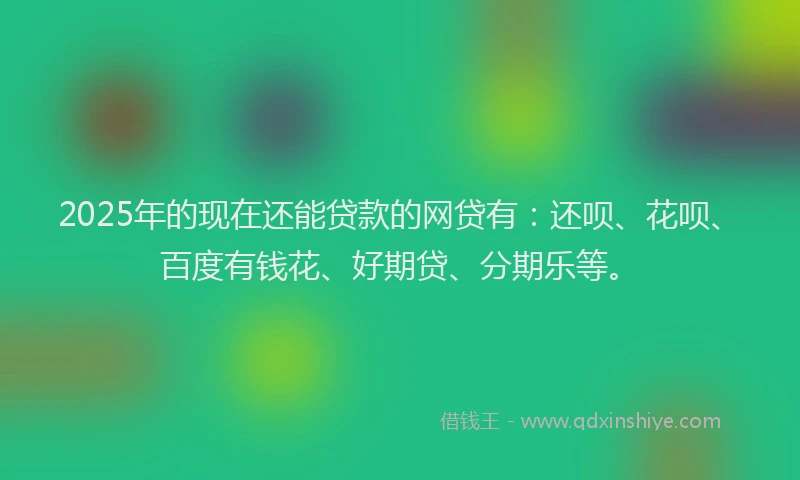 2025年的现在还能贷款的网贷有：还呗、花呗、百度有钱花、好期贷、分期乐等。