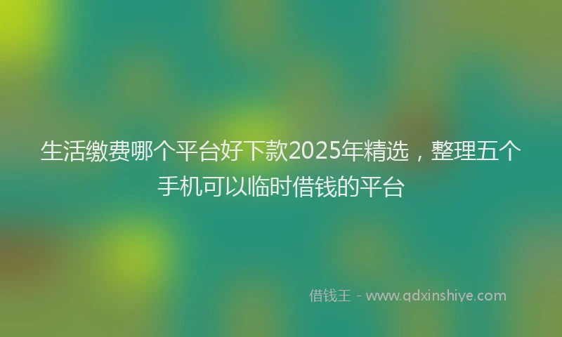 生活缴费哪个平台好下款2025年精选，整理五个手机可以临时借钱的平台
