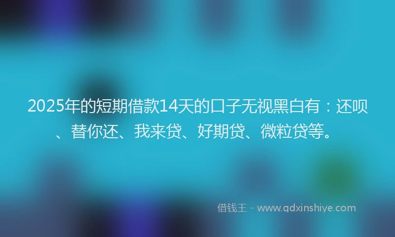 2025年的短期借款14天的口子无视黑白有：还呗、替你还、我来贷、好期贷、微粒贷等。