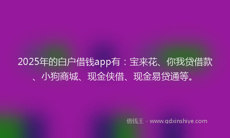 2025年的白户借钱app有：宝来花、你我贷借款、小狗商城、现金侠借、现金易贷通等。