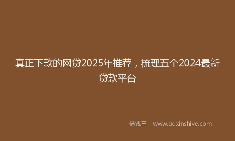 真正下款的网贷2025年推荐，梳理五个2024最新贷款平台
