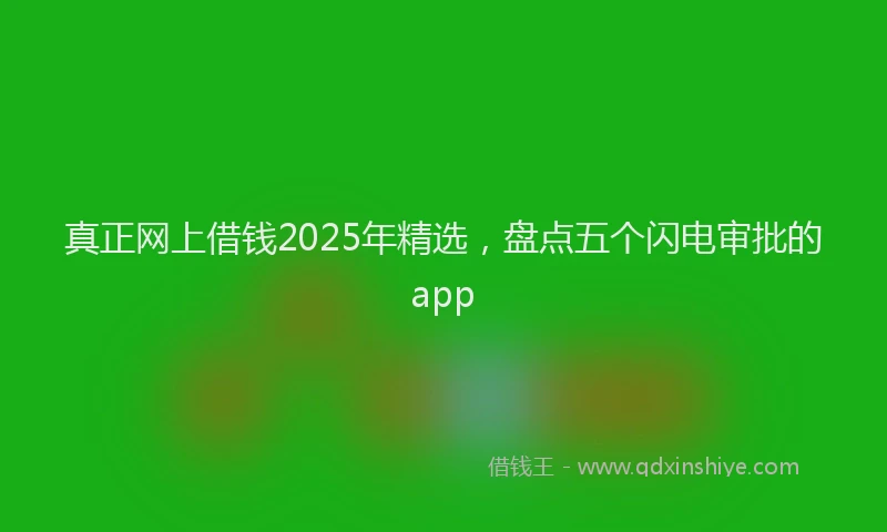 真正网上借钱2025年精选，盘点五个闪电审批的app