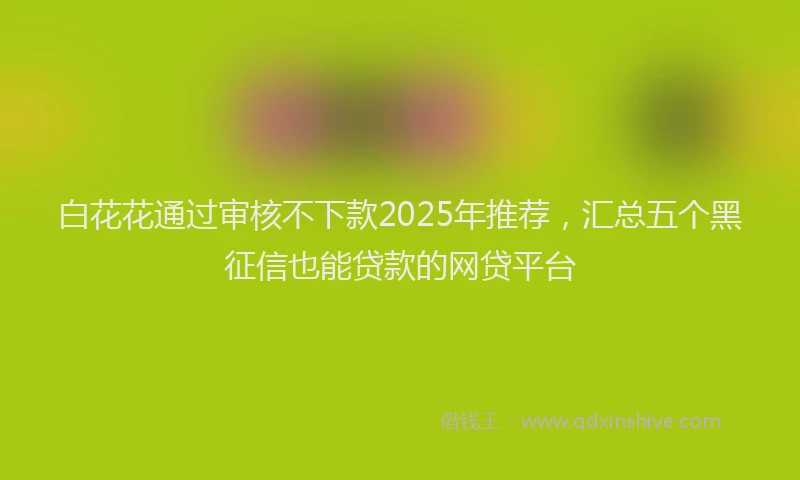 白花花通过审核不下款2025年推荐，汇总五个黑征信也能贷款的网贷平台