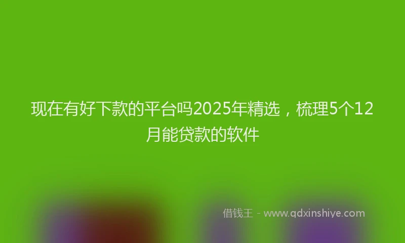 现在有好下款的平台吗2025年精选，梳理5个12月能贷款的软件