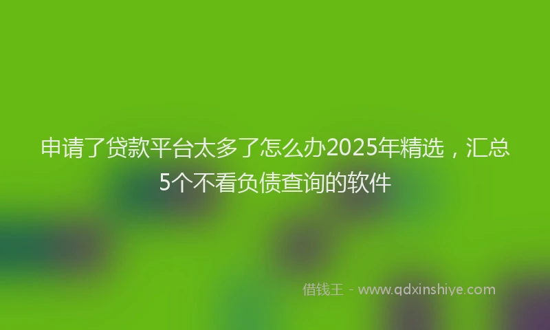 申请了贷款平台太多了怎么办2025年精选，汇总5个不看负债查询的软件