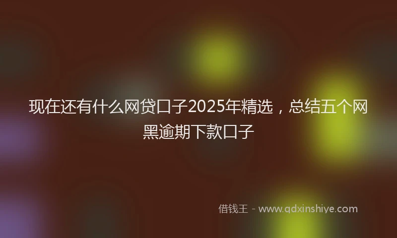 现在还有什么网贷口子2025年精选，总结五个网黑逾期下款口子