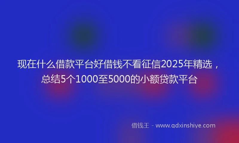 现在什么借款平台好借钱不看征信2025年精选，总结5个1000至5000的小额贷款平台