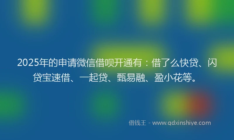 2025年的申请微信借呗开通有：借了么快贷、闪贷宝速借、一起贷、甄易融、盈小花等。