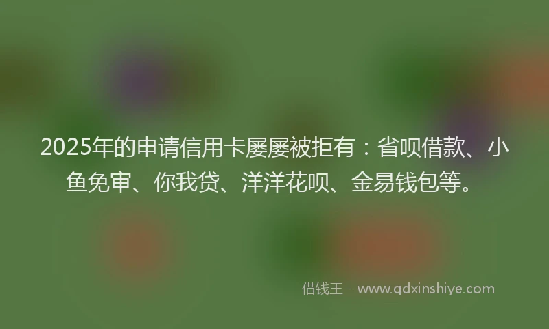 2025年的申请信用卡屡屡被拒有：省呗借款、小鱼免审、你我贷、洋洋花呗、金易钱包等。