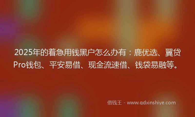 2025年的着急用钱黑户怎么办有：鹿优选、翼贷Pro钱包、平安易借、现金流速借、钱袋易融等。
