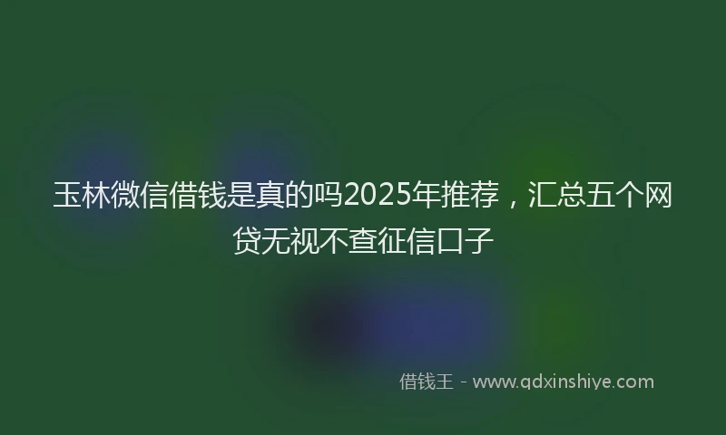 玉林微信借钱是真的吗2025年推荐，汇总五个网贷无视不查征信口子