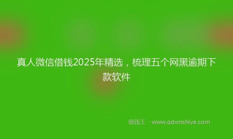 真人微信借钱2025年精选，梳理五个网黑逾期下款软件