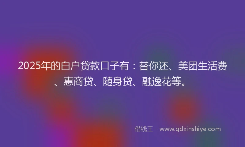 2025年的白户贷款口子有：替你还、美团生活费、惠商贷、随身贷、融逸花等。