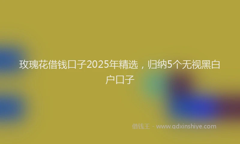 玫瑰花借钱口子2025年精选，归纳5个无视黑白户口子