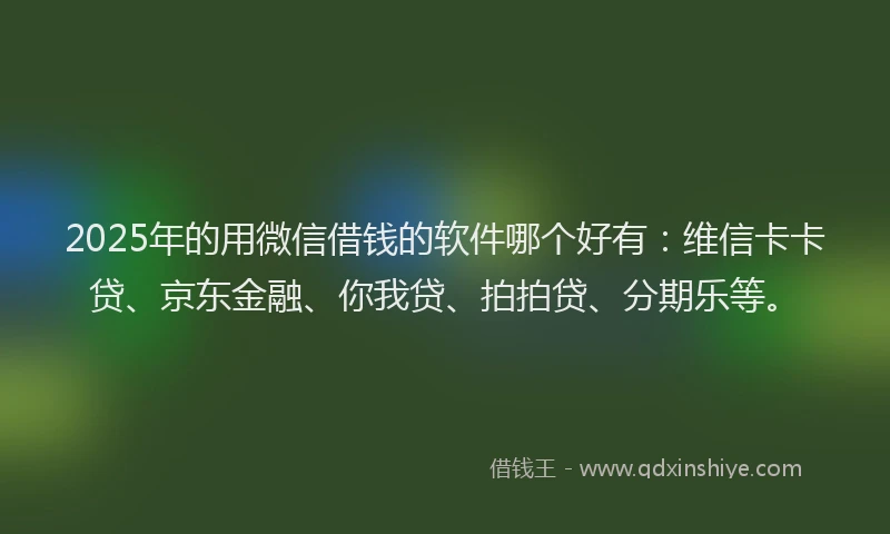 2025年的用微信借钱的软件哪个好有：维信卡卡贷、京东金融、你我贷、拍拍贷、分期乐等。