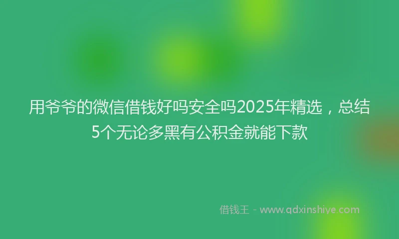 用爷爷的微信借钱好吗安全吗2025年精选，总结5个无论多黑有公积金就能下款