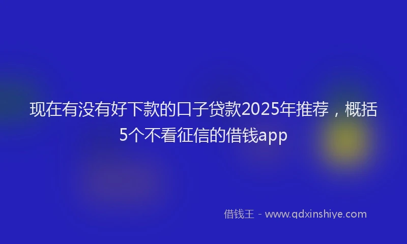 现在有没有好下款的口子贷款2025年推荐，概括5个不看征信的借钱app