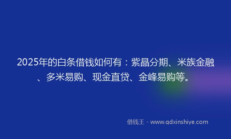 2025年的白条借钱如何有：紫晶分期、米族金融、多米易购、现金直贷、金峰易购等。