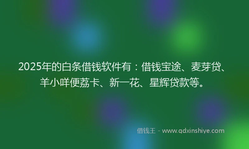 2025年的白条借钱软件有：借钱宝途、麦芽贷、羊小咩便荔卡、新一花、星辉贷款等。