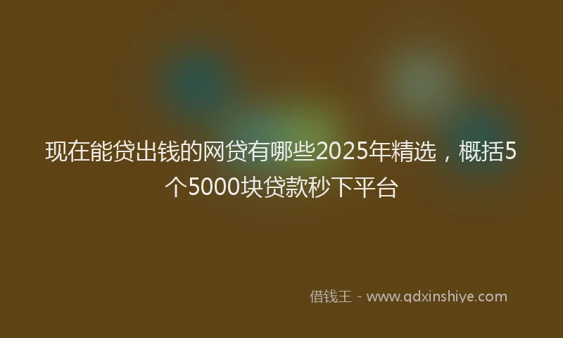 现在能贷出钱的网贷有哪些2025年精选，概括5个5000块贷款秒下平台