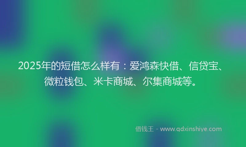 2025年的短借怎么样有：爱鸿森快借、信贷宝、微粒钱包、米卡商城、尔集商城等。