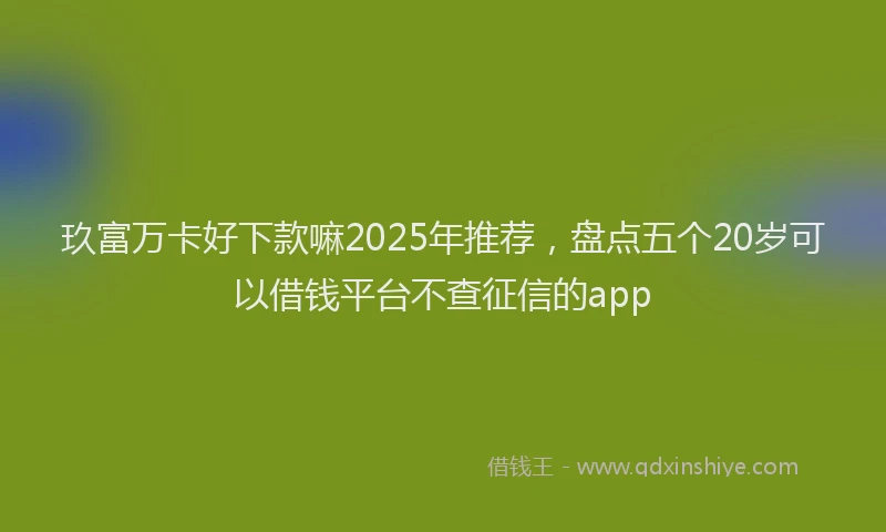 玖富万卡好下款嘛2025年推荐，盘点五个20岁可以借钱平台不查征信的app
