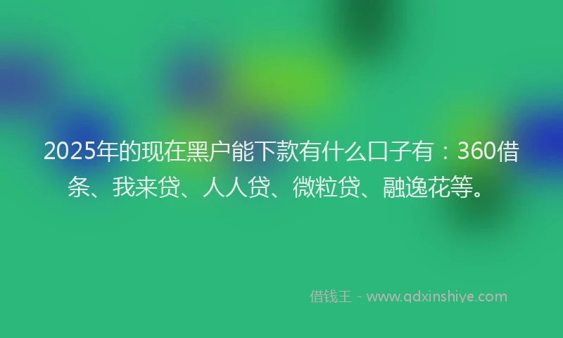 2025年的现在黑户能下款有什么口子有：360借条、我来贷、人人贷、微粒贷、融逸花等。
