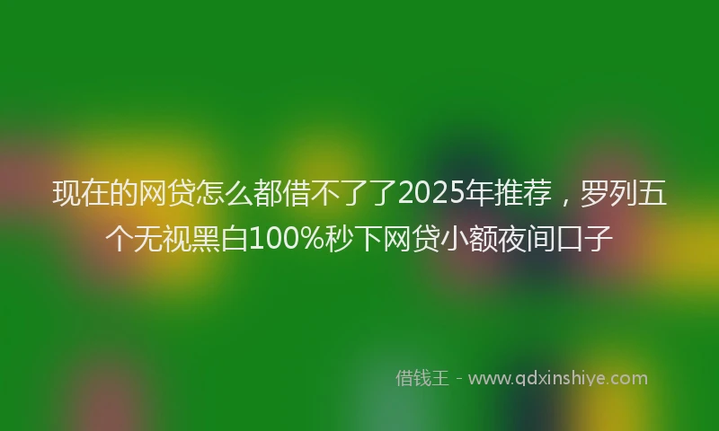现在的网贷怎么都借不了了2025年推荐，罗列五个无视黑白100%秒下网贷小额夜间口子