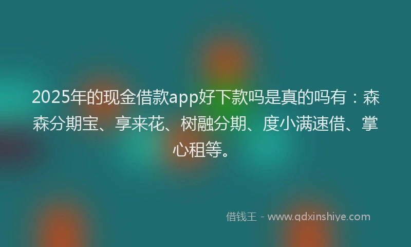 2025年的现金借款app好下款吗是真的吗有：森森分期宝、享来花、树融分期、度小满速借、掌心租等。
