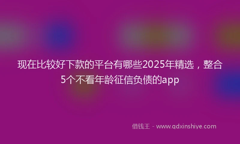 现在比较好下款的平台有哪些2025年精选，整合5个不看年龄征信负债的app