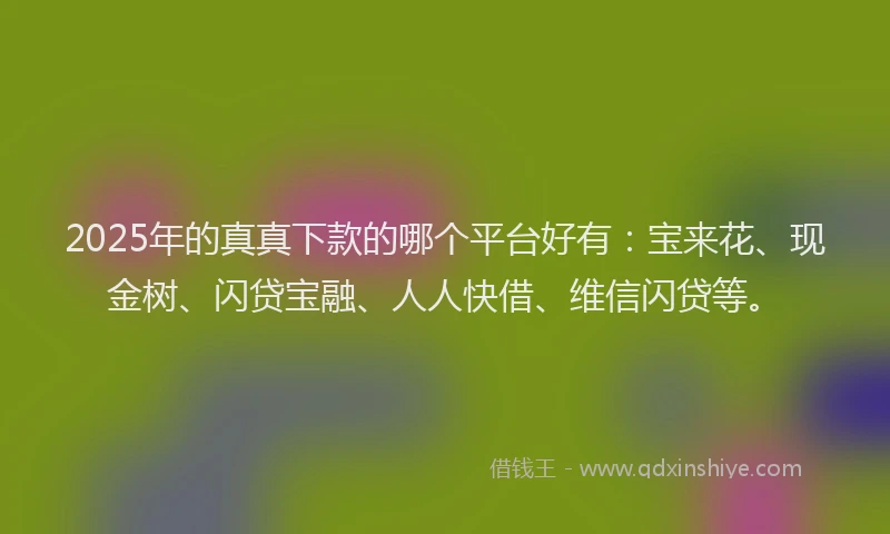2025年的真真下款的哪个平台好有：宝来花、现金树、闪贷宝融、人人快借、维信闪贷等。