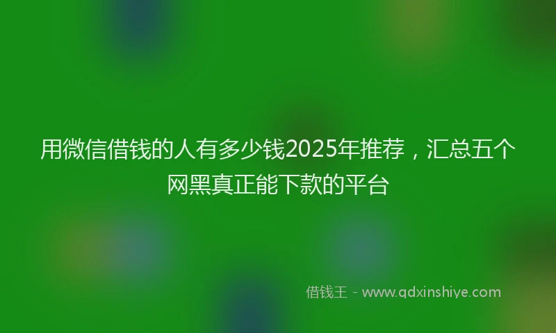 用微信借钱的人有多少钱2025年推荐，汇总五个网黑真正能下款的平台