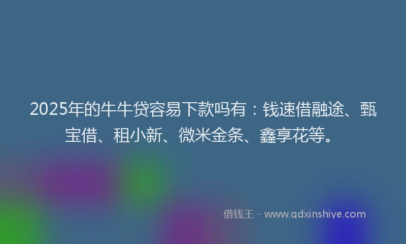 2025年的牛牛贷容易下款吗有：钱速借融途、甄宝借、租小新、微米金条、鑫享花等。